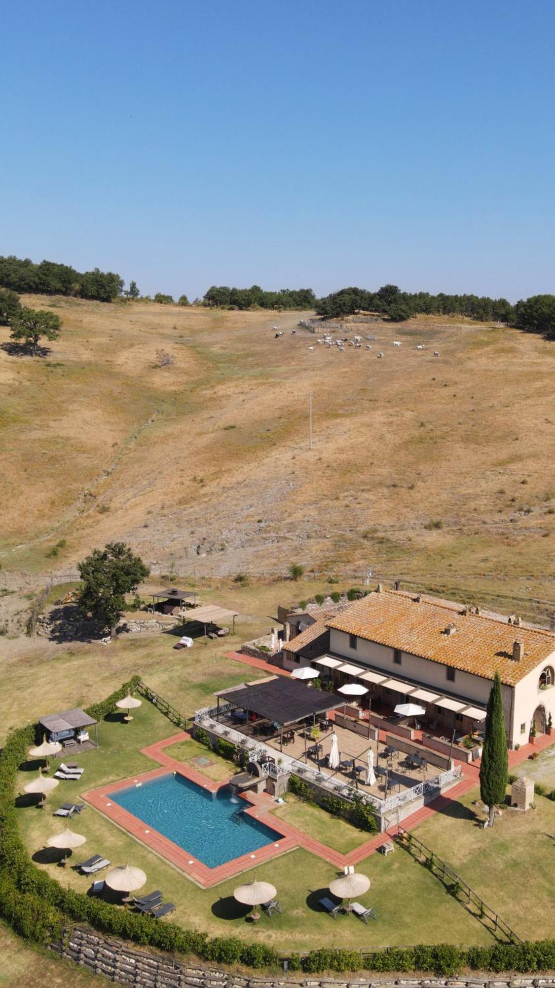 Terre Di Giorgio La Palazzetta *