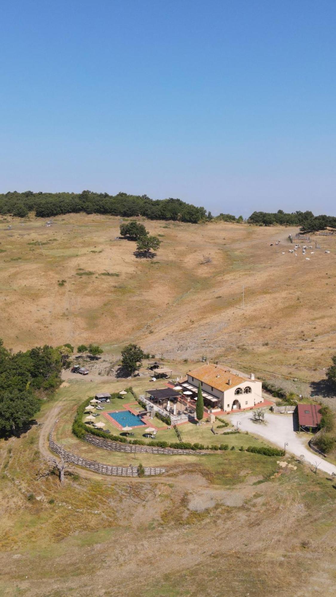Terre Di Giorgio La Palazzetta Castiglione dʼOrcia