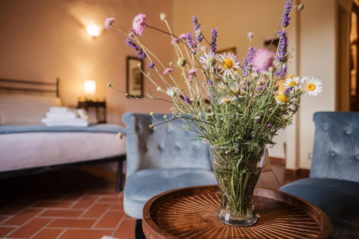 Terre Di Giorgio La Palazzetta * Castiglione dʼOrcia